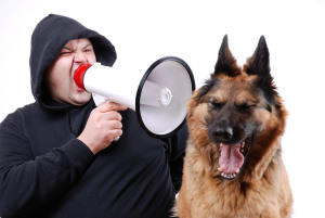 man yelling at dog small