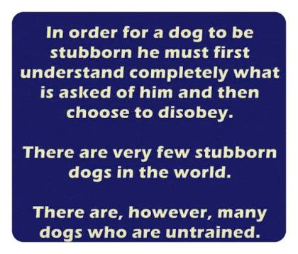 stubborn